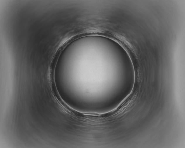 X0000113561404200909181210