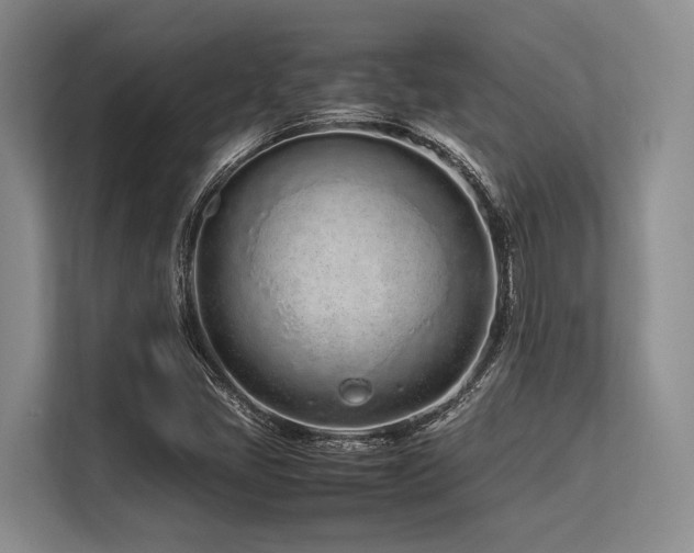 X0000113561405200909181210