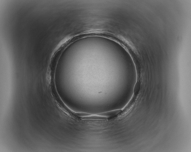 X0000113561406200909181210