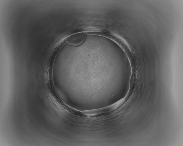 X0000113561407200909181210