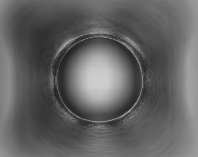 X0000113561408200909181210