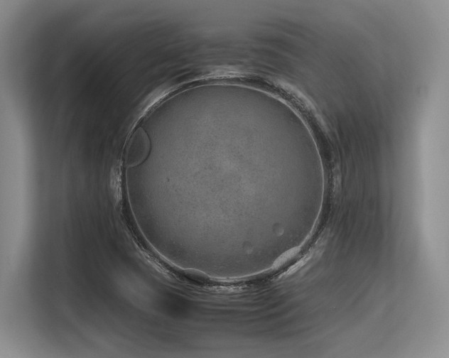 X0000113561409200909181210