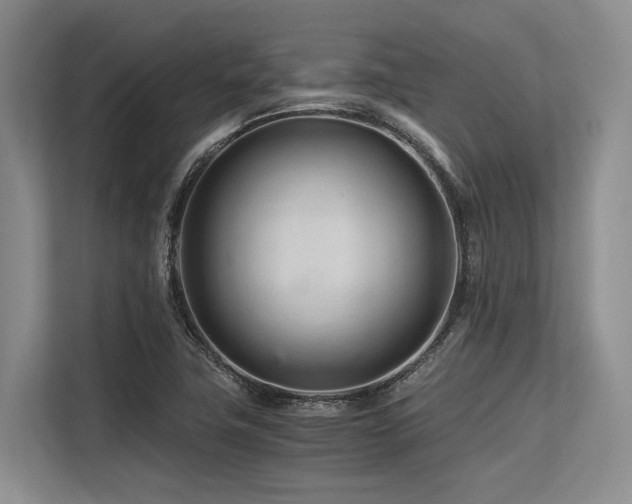 X0000113561411200909181210