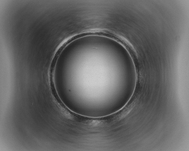 X0000113561412200909181210