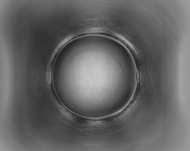 X0000113561413200909181210