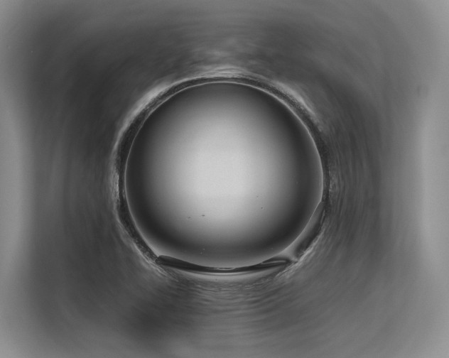 X0000113561414200909181210