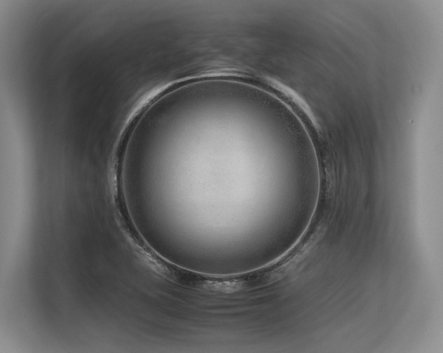 X0000113561415200909181210