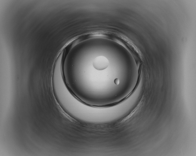 X0000113561417200909181210