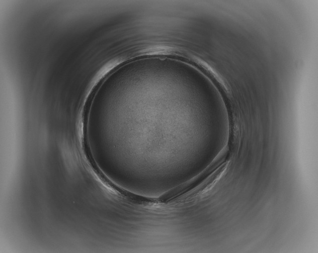 X0000113561418200909181210
