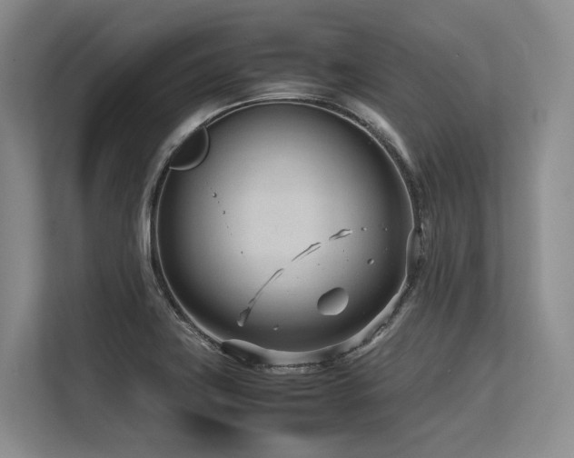 X0000113561419200909181210