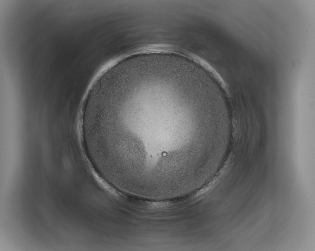 X0000113561421200909181210