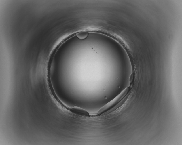 X0000113561422200909181210
