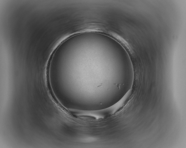 X0000113561423200909181210