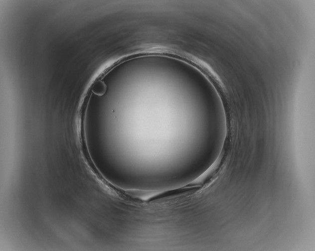 X0000113561424200909181210