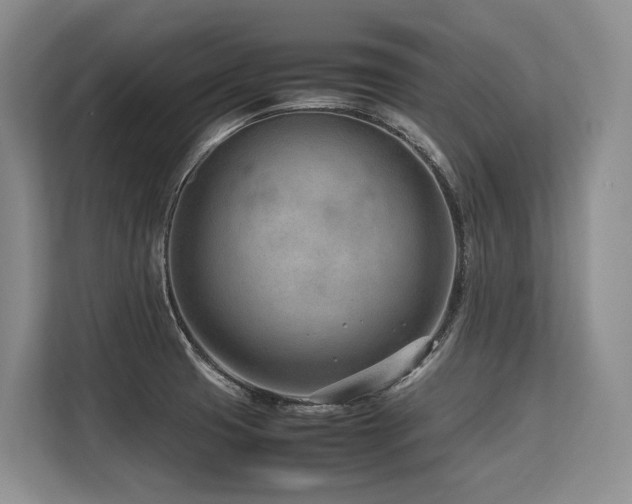 X0000113561425200909181210