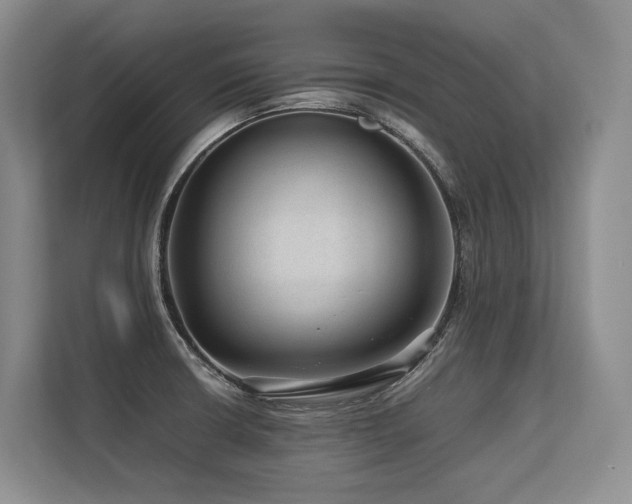 X0000113561426200909181210