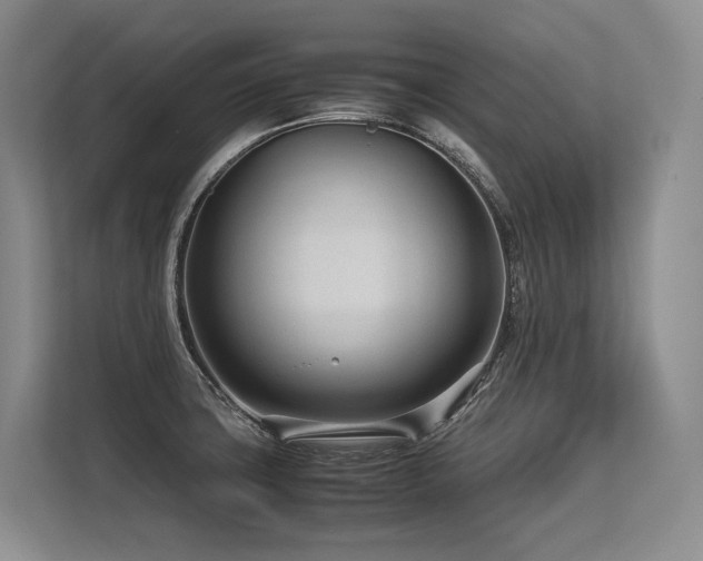 X0000113561427200909181210