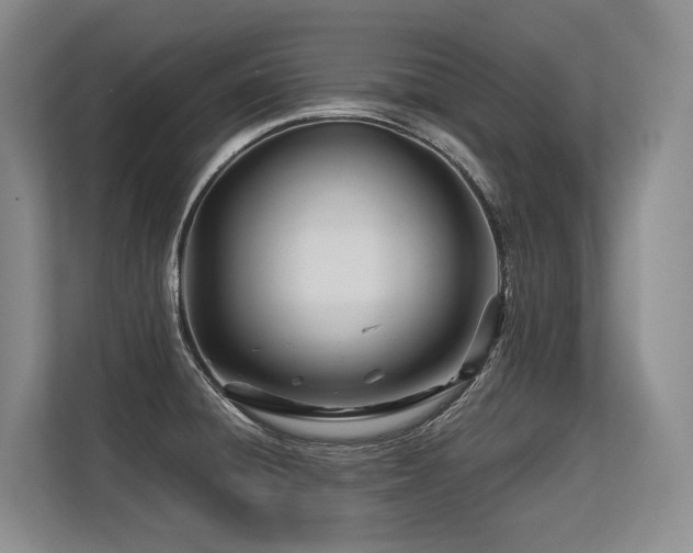 X0000113561428200909181210