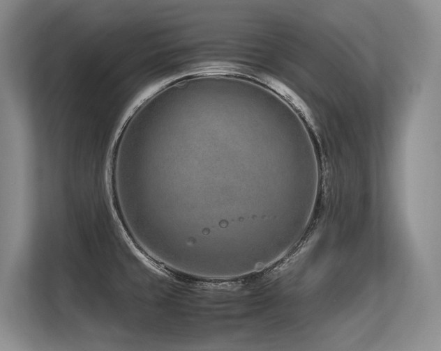 X0000113561429200909181210