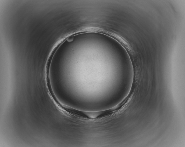 X0000113561430200909181210