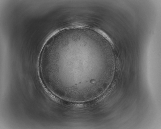 X0000113561431200909181210