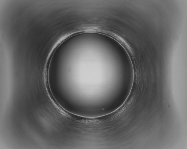 X0000113561432200909181210