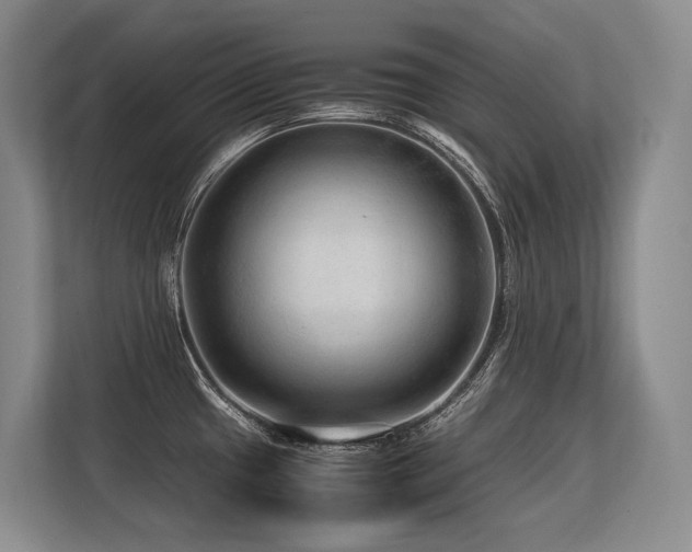 X0000113561433200909181210