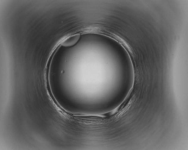 X0000113561434200909181211