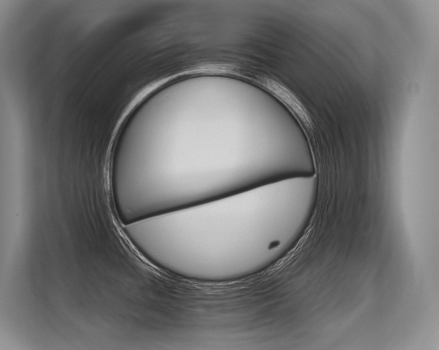 X0000113561436200909181211