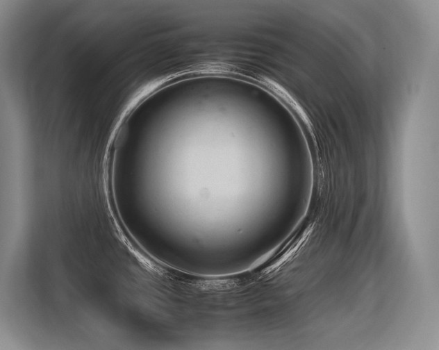 X0000113561437200909181211