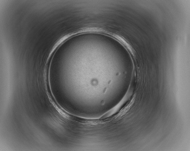 X0000113561438200909181211