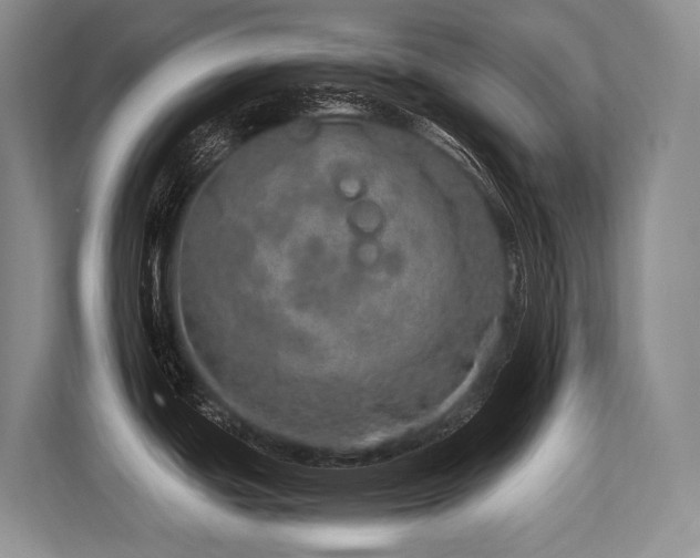 X0000113561439200909181211