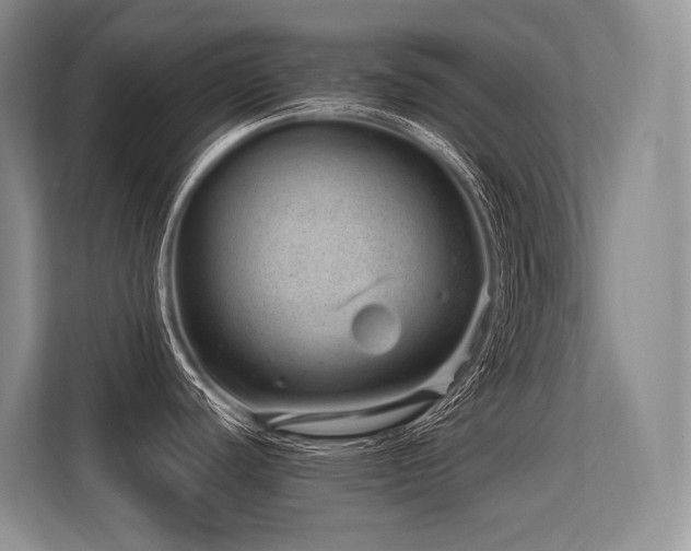 X0000113561440200909181211
