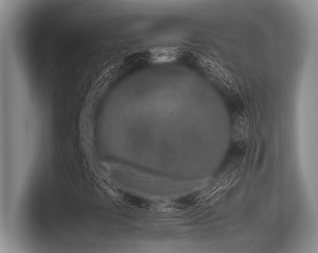 X0000113561441200909181210