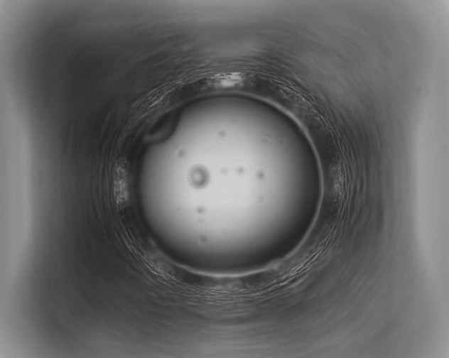 X0000113561442200909181210