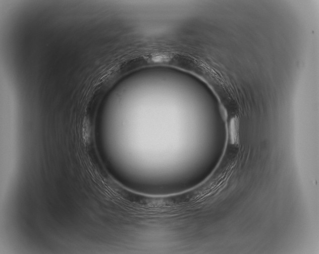 X0000113561443200909181210