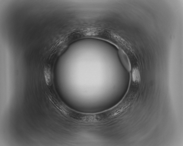 X0000113561444200909181210