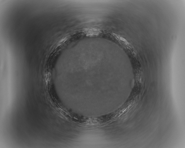 X0000113561445200909181210