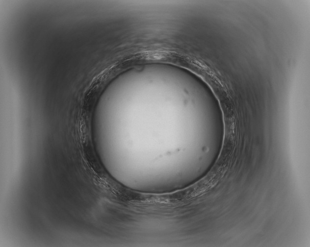 X0000113561446200909181210