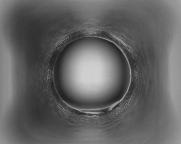 X0000113561447200909181210