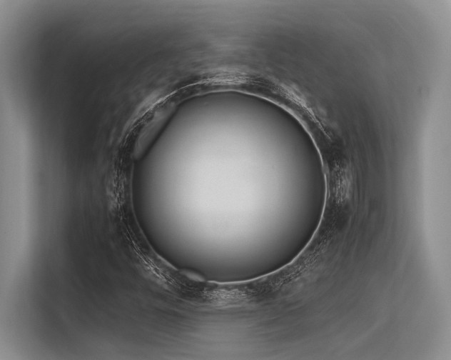 X0000113561448200909181210