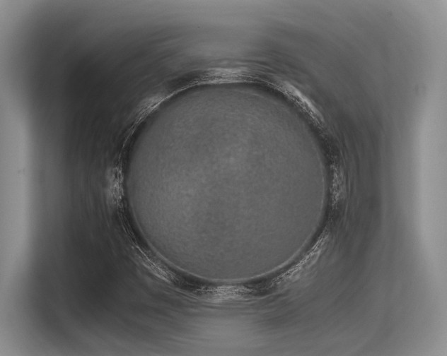 X0000113561449200909181210