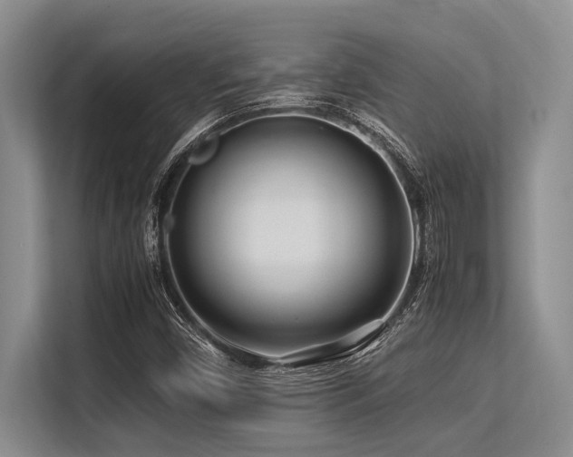 X0000113561450200909181210