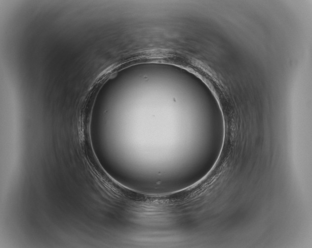 X0000113561451200909181210