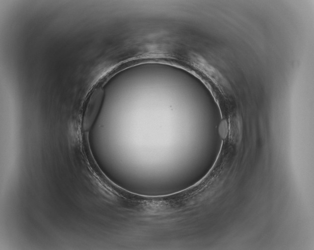 X0000113561452200909181210