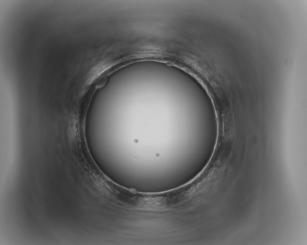 X0000113561453200909181210