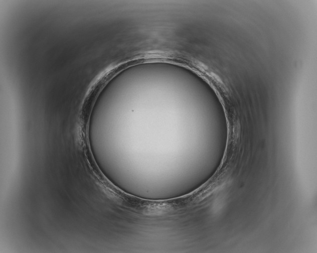 X0000113561454200909181210