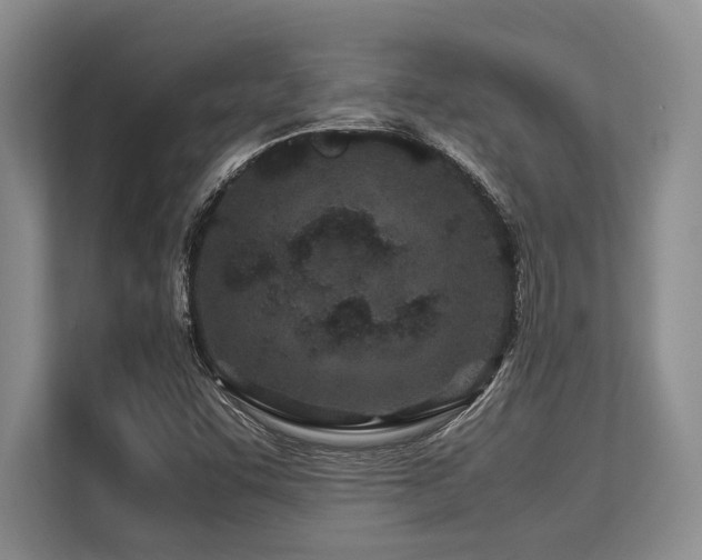 X0000113561455200909181210
