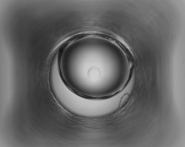 X0000113561456200909181210