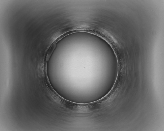 X0000113561457200909181210